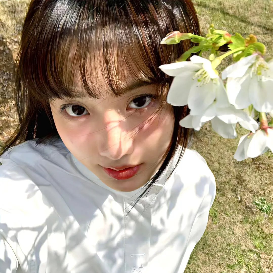 疫起